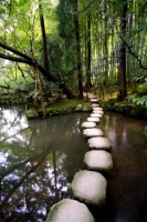 Journey
